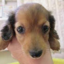 プロフィール詳細を見る