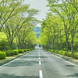 プロフィール詳細を見る