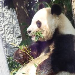 プロフィール詳細を見る