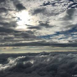 プロフィール詳細を見る