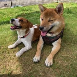 プロフィール詳細を見る