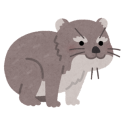 プロフィール詳細を見る