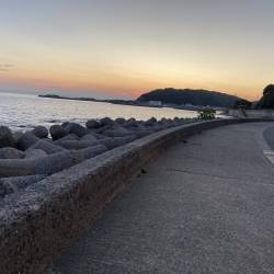 プロフィール詳細を見る