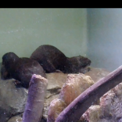 プロフィール詳細を見る