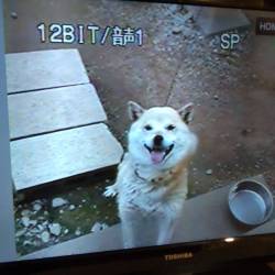 プロフィール詳細を見る