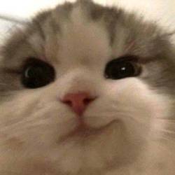 プロフィール詳細を見る