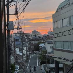 プロフィール詳細を見る