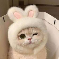 プロフィール詳細を見る