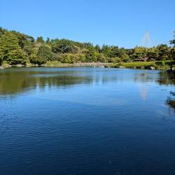プロフィール詳細を見る