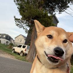 プロフィール詳細を見る