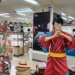 プロフィール詳細を見る
