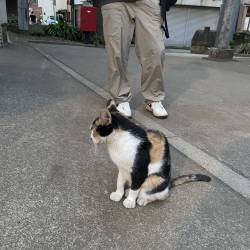 プロフィール詳細を見る