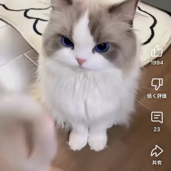 プロフィール詳細を見る