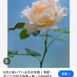 プロフィール詳細を見る