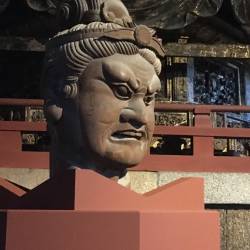 プロフィール詳細を見る