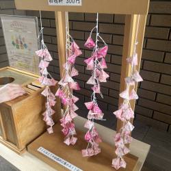 プロフィール詳細を見る