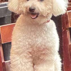 プロフィール詳細を見る