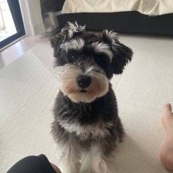 プロフィール詳細を見る