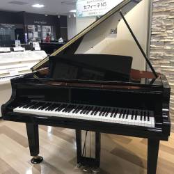 プロフィール詳細を見る