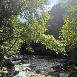 プロフィール詳細を見る