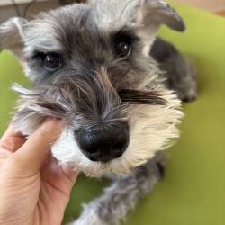 プロフィール詳細を見る