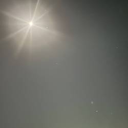 プロフィール詳細を見る