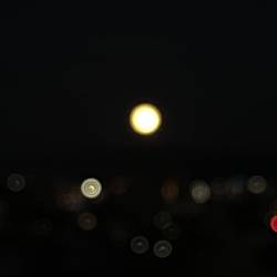 プロフィール詳細を見る