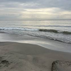 プロフィール詳細を見る