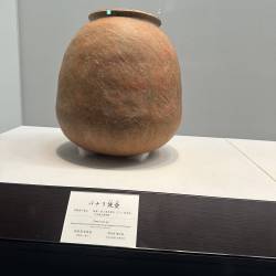 プロフィール詳細を見る