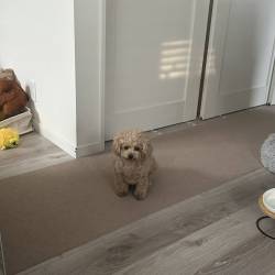 プロフィール詳細を見る