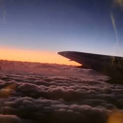 プロフィール詳細を見る