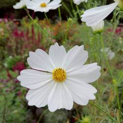 プロフィール詳細を見る