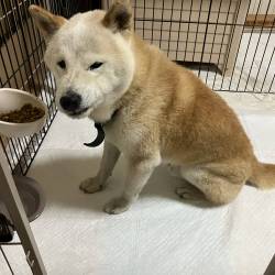 プロフィール詳細を見る