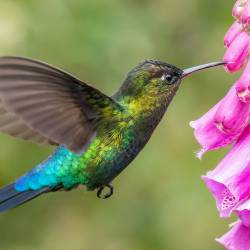 プロフィール詳細を見る