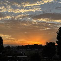 プロフィール詳細を見る